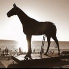 Uwaga na „Faktury od Playa”, czyli historia nietypowego konia trojańskiego